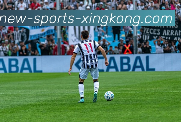 星空体育平台生态图