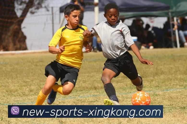 App Interface Preview