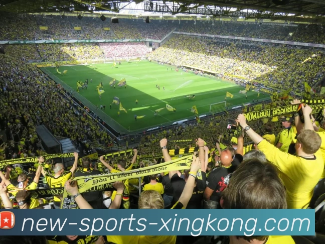 星空体育APP 封面图